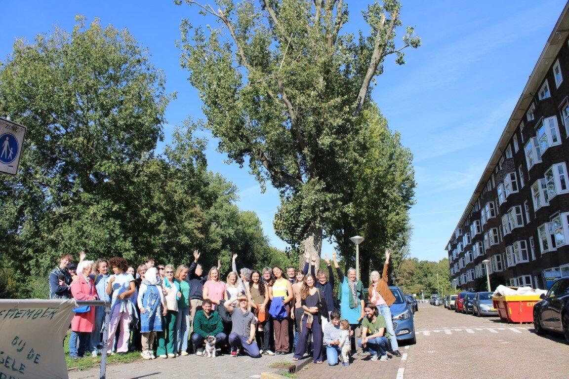 Postjeskade en geredde bomen