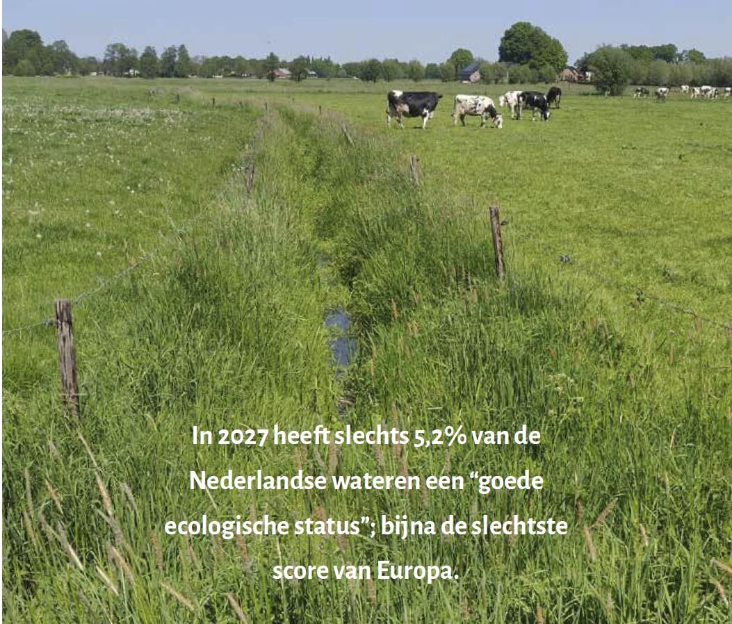 beeld voor site bij nieuwsbericht Factcheck