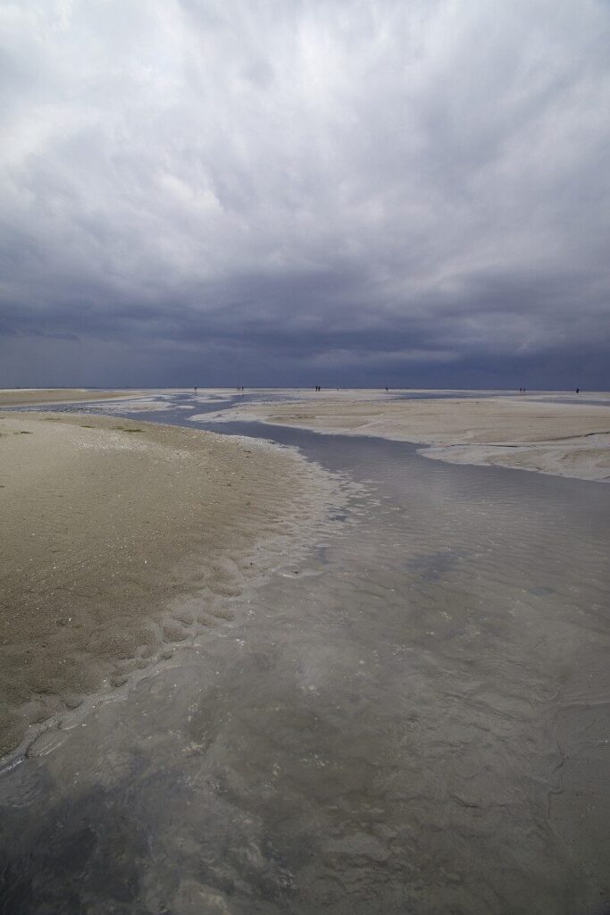 Waddenzee, Engelsmansplaat