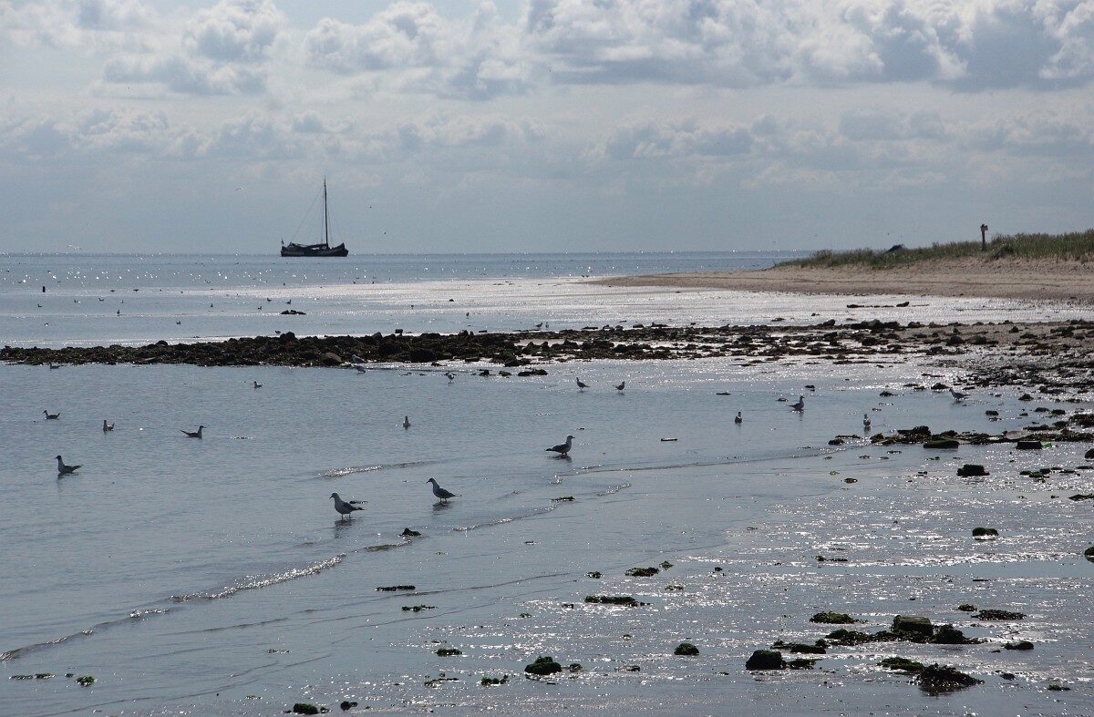 Waddenzee