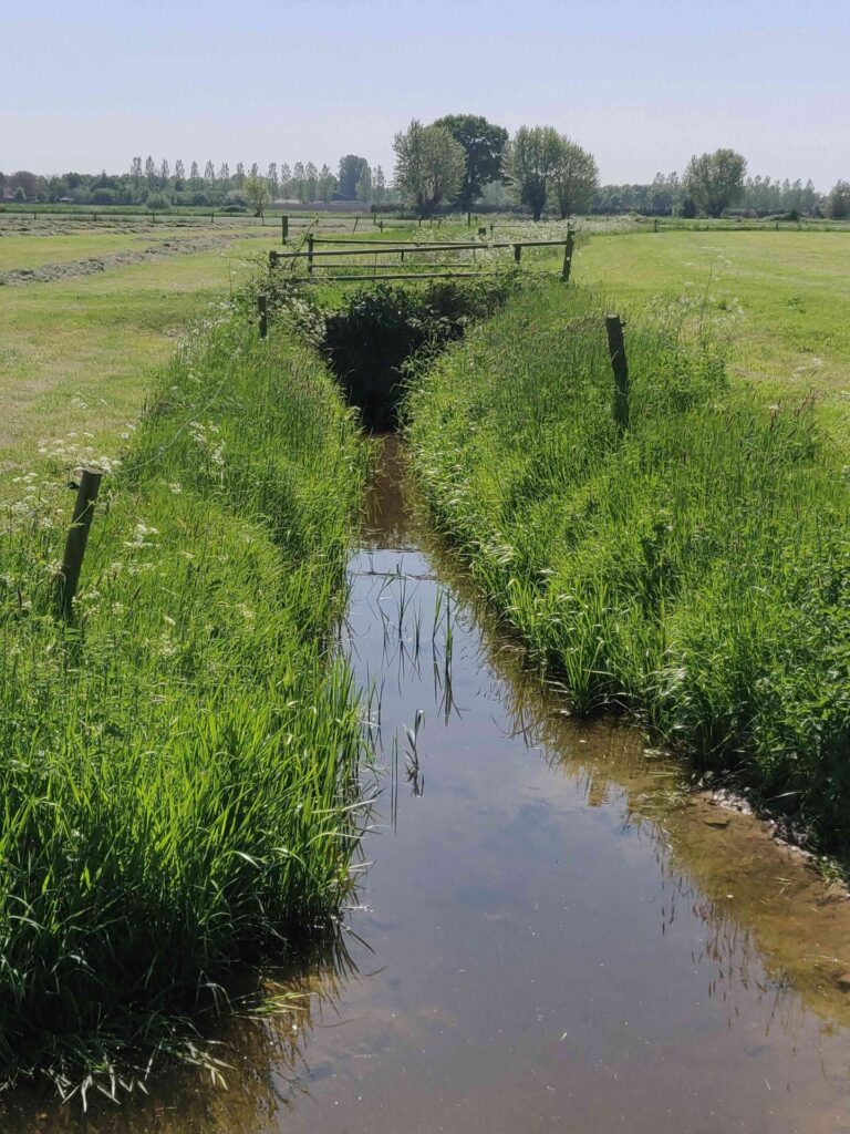 sloot en weilanden