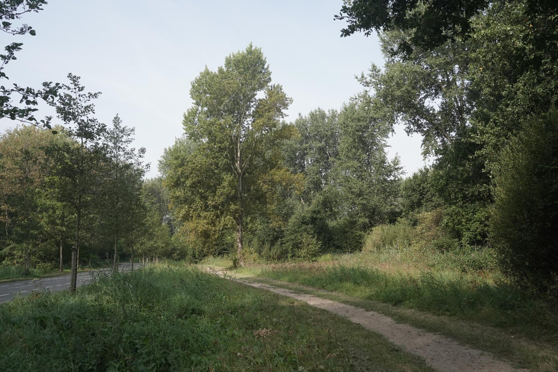 649bc7c5-fa68-412d-82c3-d093bbe9bb3e-1_all_5375