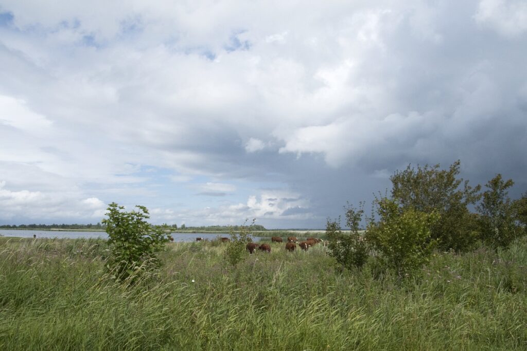 Geen slibstort meer in Lauwersmeer