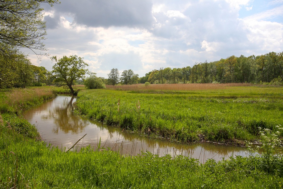 Drentsche Aa Natura2000 Drinkwaterwinning
